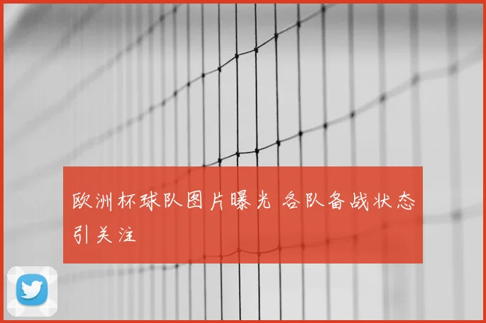 欧洲杯球队图片曝光 各队备战状态引关注